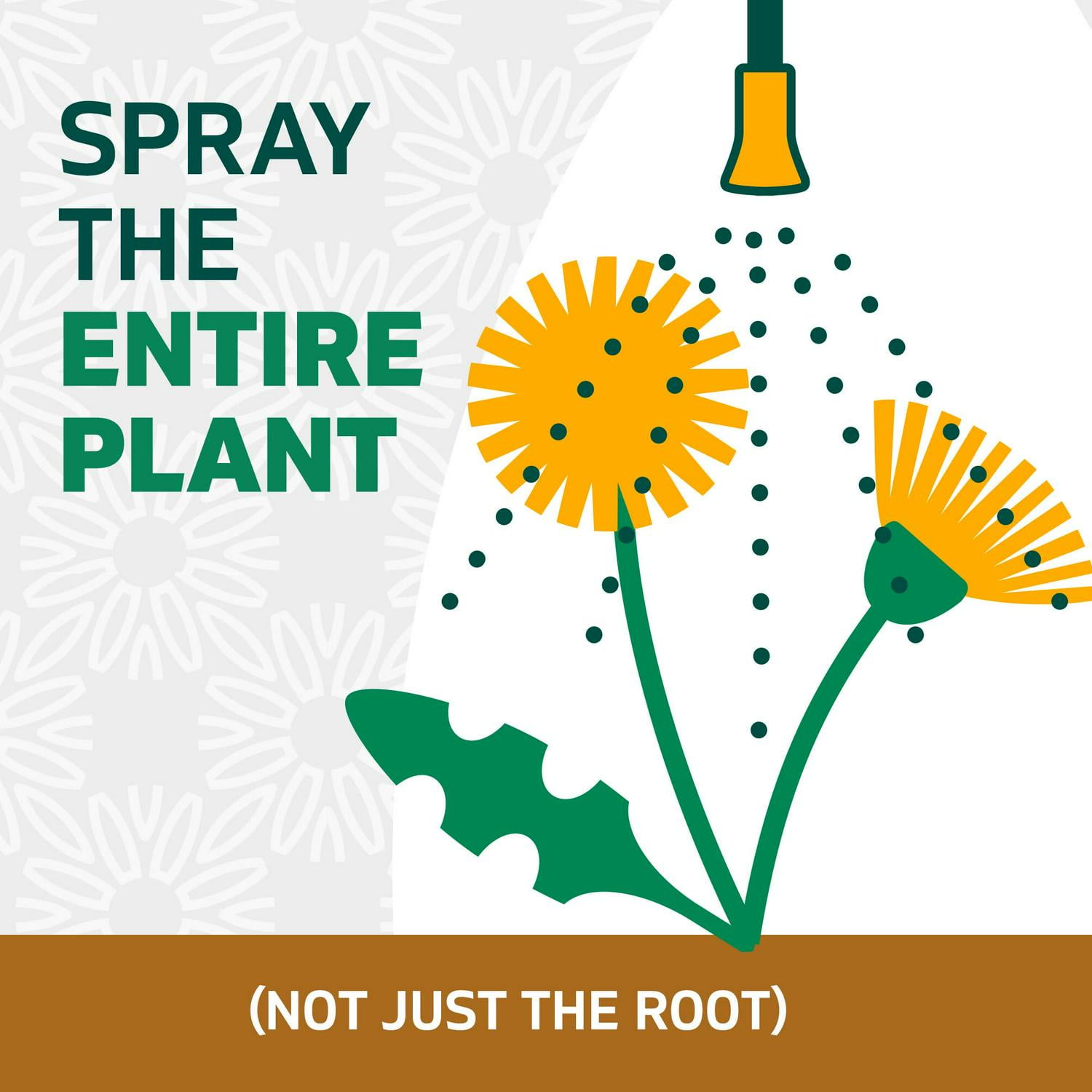Spruce 64-fl oz Ready to Use Weed and Grass Killer