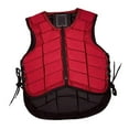 thumbnail image 1 of Chaleco de equitación, Guardias deportivos Chaleco con cremallera Accesorios transpirables Chaleco de entrenamiento Chaleco ecuestre para hombres para , Rojo, Niño M shamjiam Chaleco ecuestre, 1 of 8