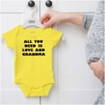 thumbnail image 5 of All You Need is Grandma Cute Grandkid Romper Boys or Girls Infant Baby Brisco Brands 24M, 5 of 6