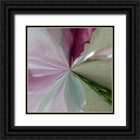 Studio Nine6 26x26 Black Ornate Wood Framed with Double Matting Museum Art Print Titled - Botanical Beauty E