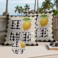 thumbnail image 2 of Summer Lemons HOME Outdoor Pillow Covers Pack of 2 Black White Buffalo Plaid Woog Grain Waterproof Throw Pillow Covers Decorative Cushion Cases for Patio Garden Tent Balcony Couch 18x18 inch, 2 of 9