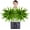Green, variant on Velener Outdoor Fake Agave Artificial Plant, Unpotted Fake Plant for Room Decor, UV Resistant Faux Agave Plant for Outdoor/Indoor Decor Green, 18 inches, 2 Pack(36 Leaves)
