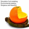 thumbnail image 4 of Parrot Feeder Fruit Shape Bird Orange Pomegranate Food Water Feeding Bowl Container Feeders for Crates Cages Coop Pet, 4 of 6