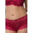 thumbnail image 3 of QT Intimates Kelly Lace and Mesh Boyleg Panty 5554QTP, 3 of 4