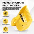 thumbnail image 4 of Picker Orchard Fruit Picker Garden Tool Blueberry Picking Tool Fruit, 4 of 5