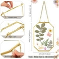 thumbnail image 2 of 1 Pack of Octagon Brass Herbarium Glass,Retro Wall Decoration,Dried Flower Plant Specimen Photo Frame,Gold-Rimmed Glass Floating Frame,DIY Decoration for Artwork Display, Home (Gold), 2 of 7