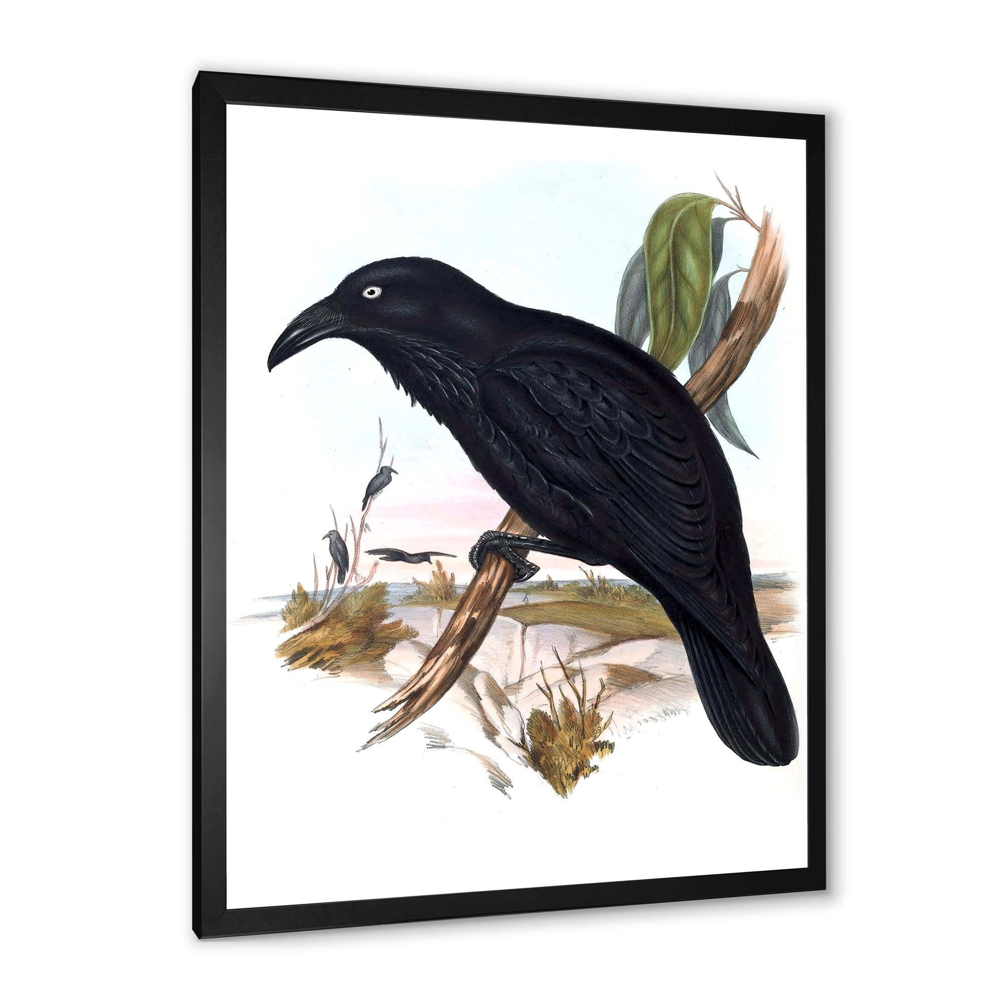 Designart 'Ancient Australian Birds VI' Traditional Framed Art Print
