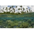 thumbnail image 2 of Shimlock, Jones 18x13 White Modern Wood Framed Museum Art Print Titled - Solomon Islands Reef and island palm trees, 2 of 4