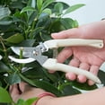 thumbnail image 2 of Tijeras De Podar De Jardinería Antideslizantes De Acero Inoxidable, Juego De Herramientas De Corte, Podadora, Cortador De árboles, Herramientas Para El Hogar, 2 of 6