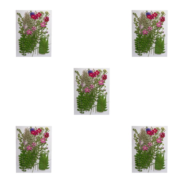 Injueey Flores secas naturales, artesanía para el hogar, flores prensadas en relieve, decoración colorida para tarjetas de boda, pintura para Type2 NO2 Injueey CBP162993