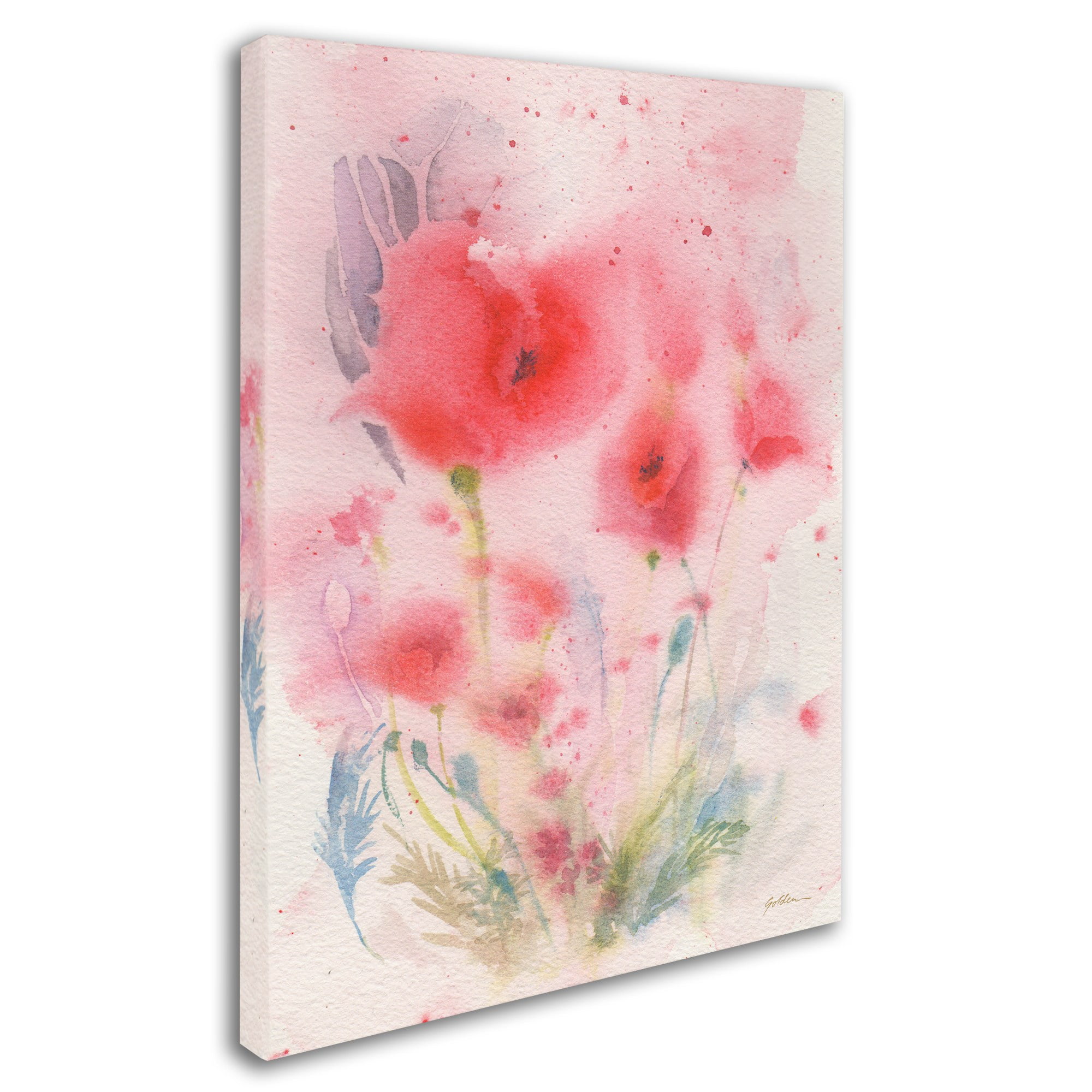 Trademark Fine Art 'Pink Reverie' Canvas Art by Sheila Golden