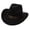 Black, variant on Western Cowboy Style Hat Jazz Bowler Hat Cow Head Decoration Ethnic Style Hat Cow Girl Hat for Women Cowboy Hat for Women Adult Cowboy Western Cowboy Adult Party Hats and Noise Makers Leather Hatband