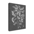 thumbnail image 2 of Trademark Fine Art 'Graphic Foliage V' Canvas Art by Vision Studio, 2 of 4