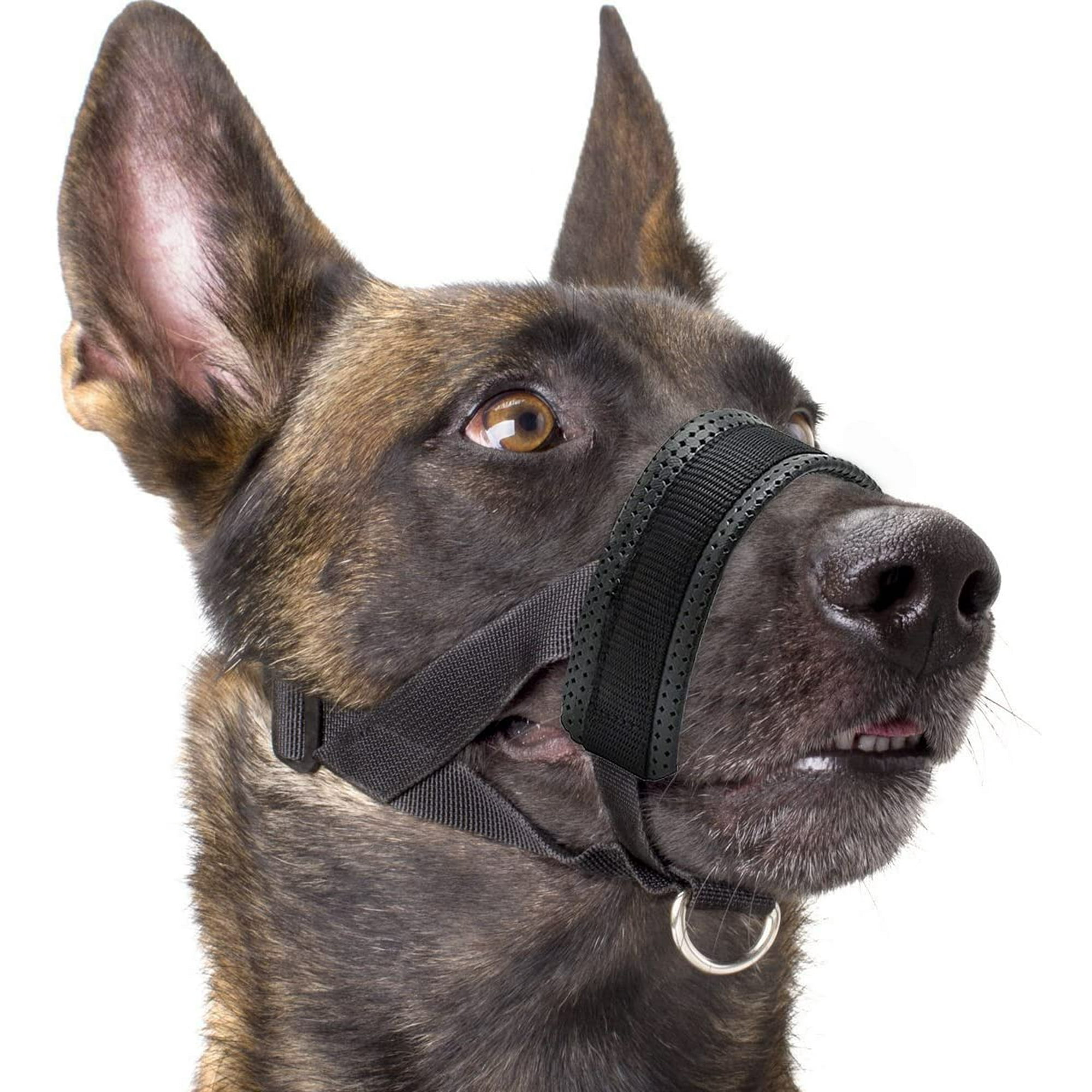 Mgfed Dog Muzzle adjustable Loop Stop Biting Barking And Chewing Best For Aggressive Dogs Other Black