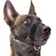 thumbnail image 1 of Bozal para perros pequeños y medianos Anti Biting Barking Chewing con acolchado suave y lazo ajustable Adepaton WMZL-771-4, 1 of 7