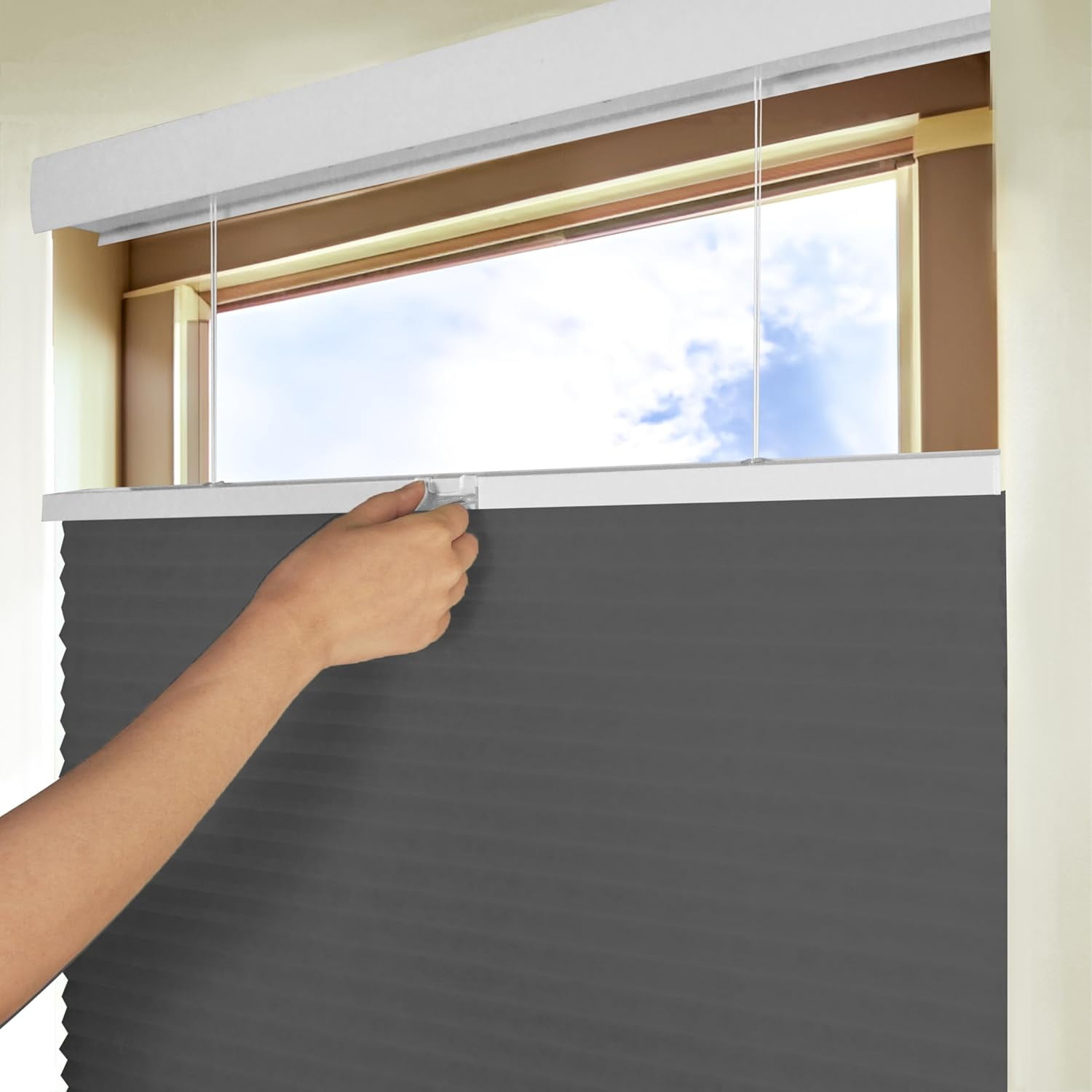 Chicology Steel Light Filtering Cordless Top Down Bottom Up Cellular Shades 51.25 in. W x 48 in. L