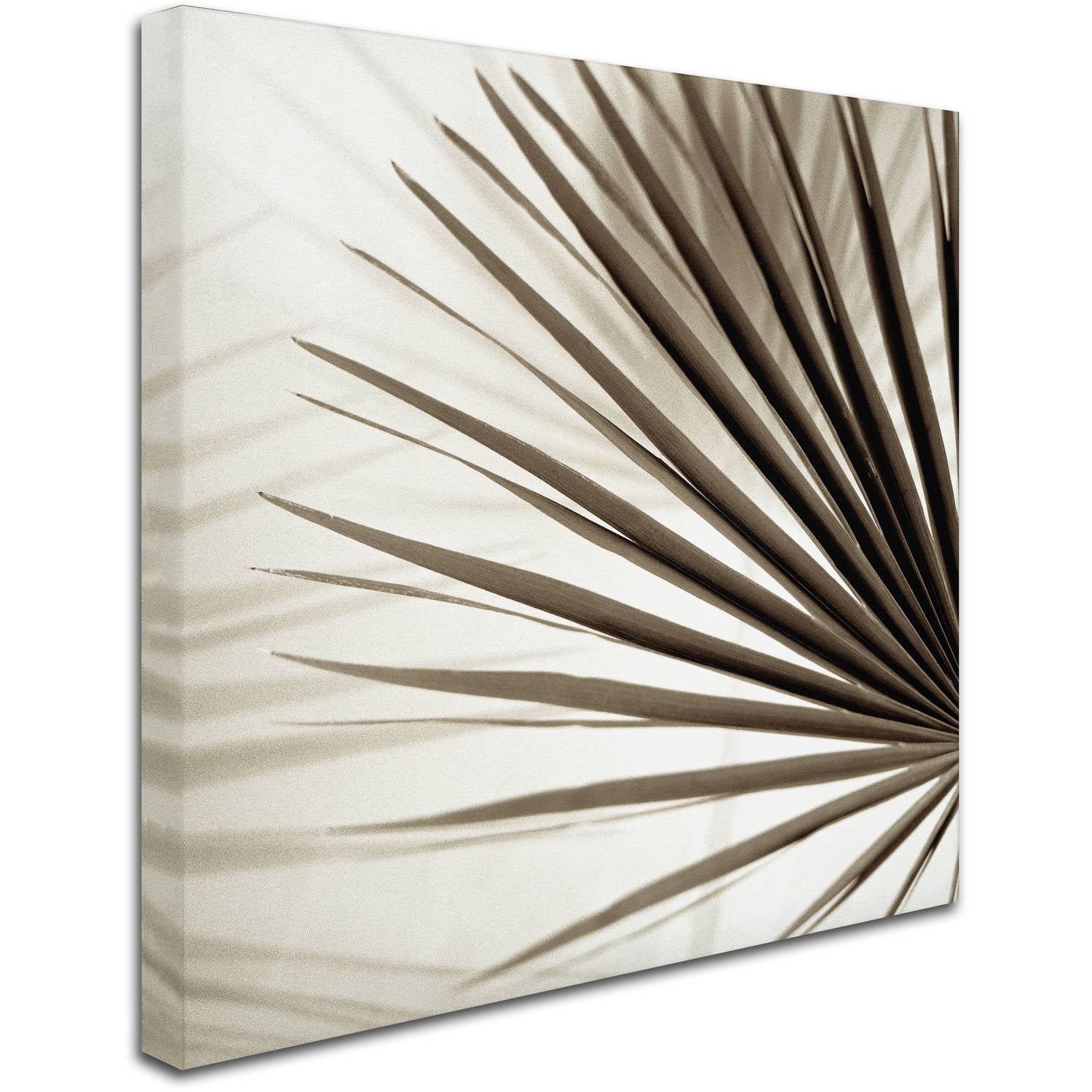 Trademark Fine Art "Florison 66" Canvas Art by Alan Blaustein