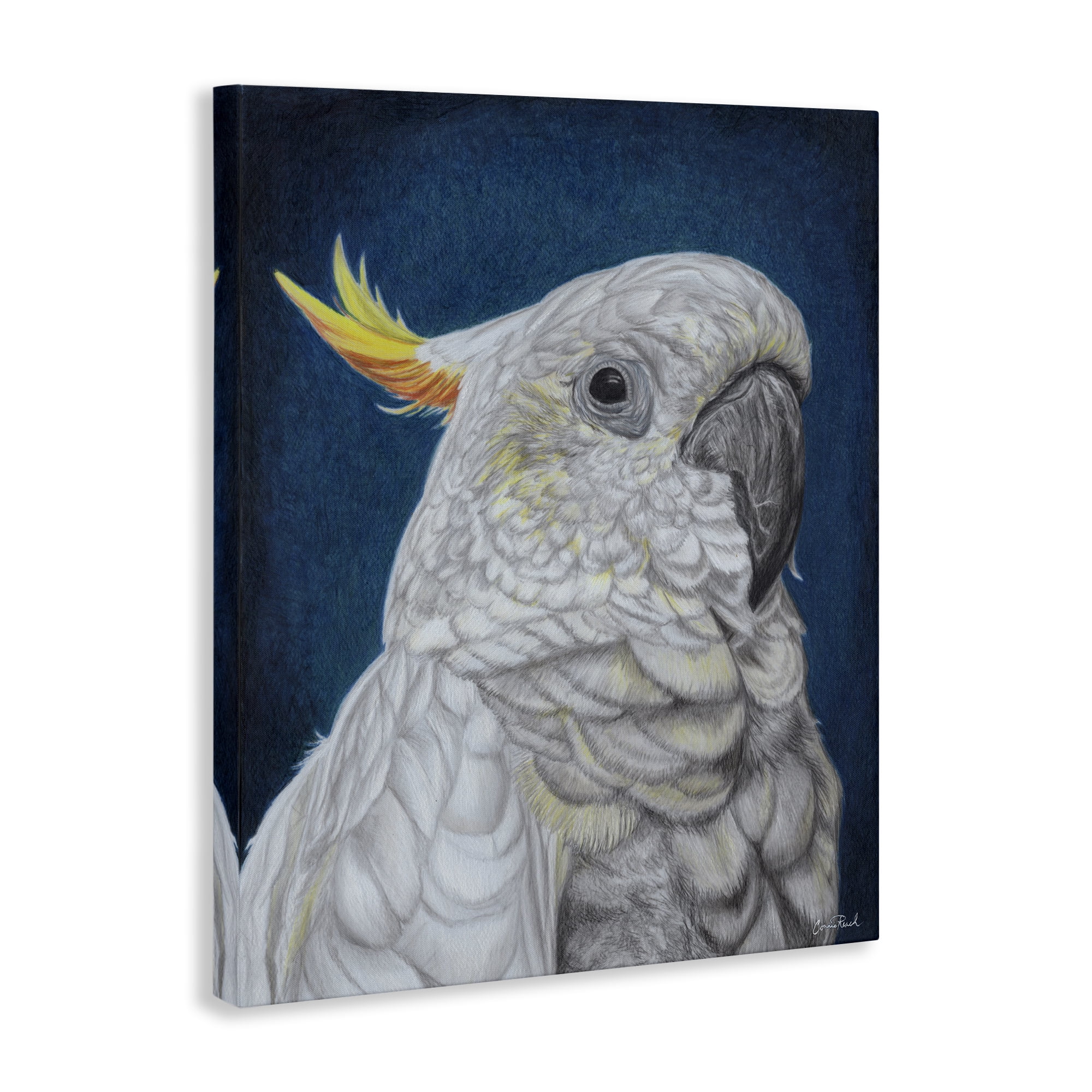 Stupell Industries Traditional Cockatoo Visage Animals & Insects Painting Gallery Wrapped Canvas Art Print Wall Art, 24 x 30