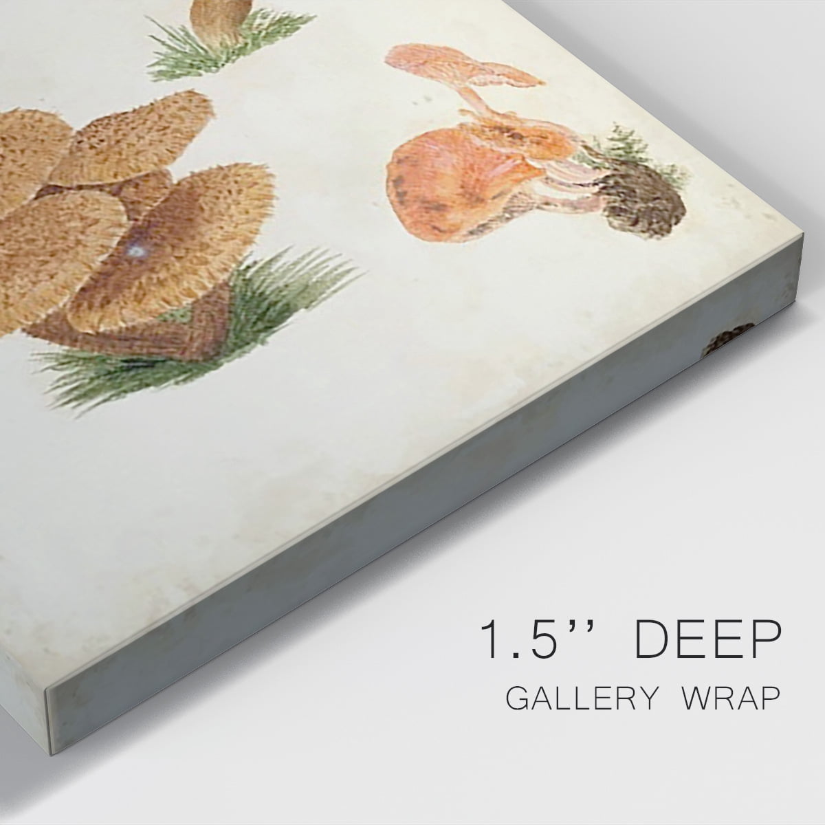 Mushroom Species V Premium Gallery Wrapped Canvas - Ready to Hang