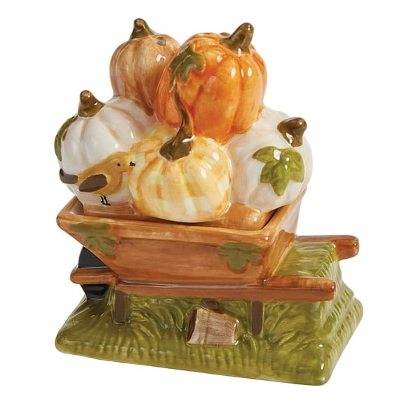 Park Designs Punkin' Patch Salt And Pepper Set