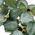thumbnail image 6 of Northlight Eucalyptus Leaves Artificial Botanical Spring Wreath - 20", 6 of 8