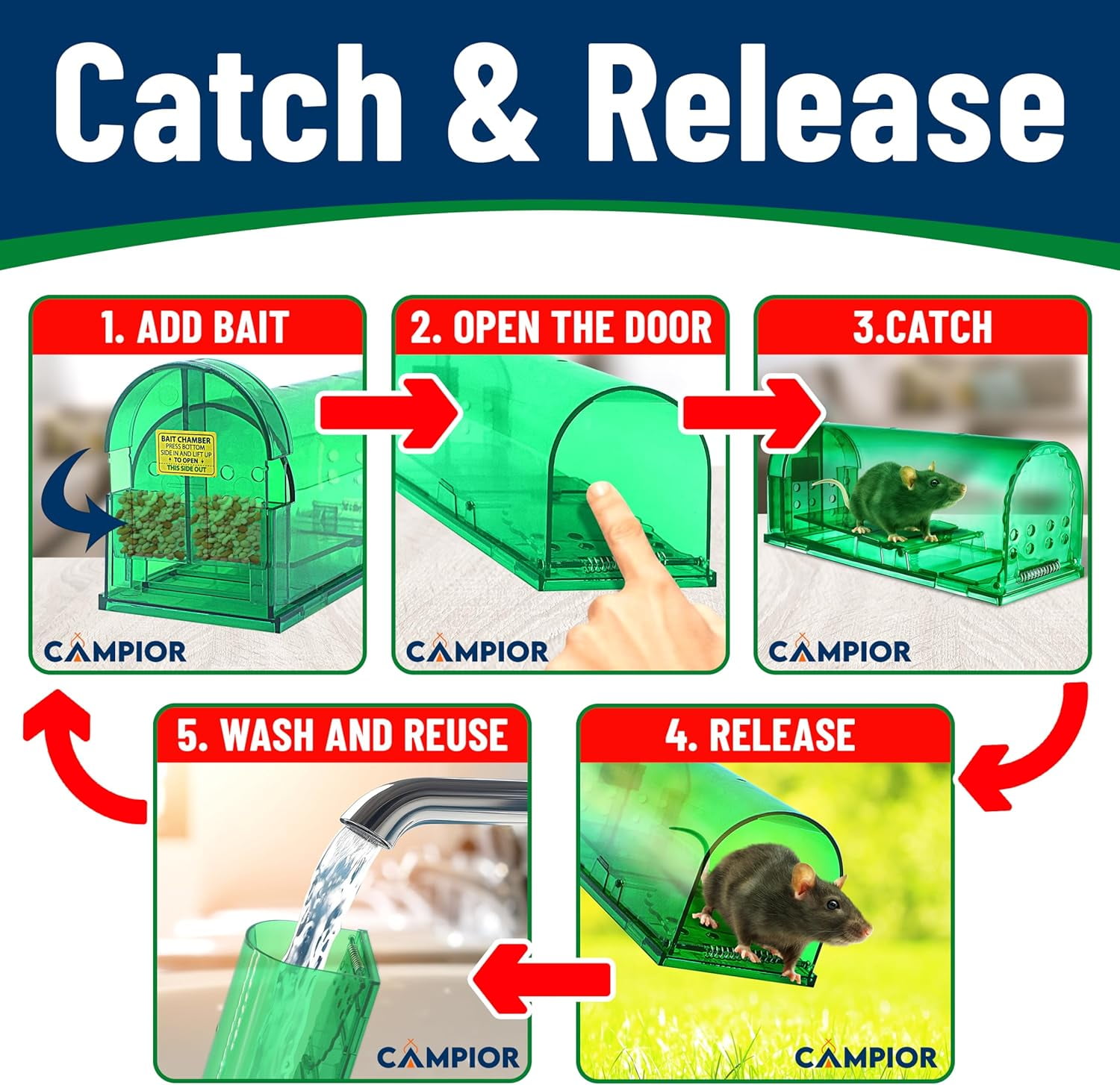 Campior Humane No-Kill Mouse Trap, Large, Indoor, Child & Pet Safe, Easy to Clean, 1-Pack, Green
