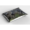 thumbnail image 2 of Ambesonne African Pillow Sham 2 Pack, Zebra in Serengati Park, 26"x20", Reseda Green White Black, 2 of 3