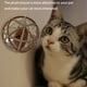 thumbnail image 1 of Juguetes Interactivos para gatos ANGGREK Bola de ratón Plástico Rompecabezas, 1 of 7