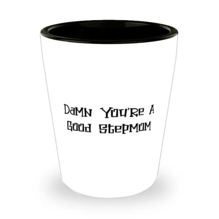 

Damn You re A Good Stepmom Shot Glass Stepmom Ceramic Cup Sarcastic For Stepmom