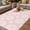 Pink, variant on Pink Daisy Outdoor Rug for Patio/Deck/Porch, Non-Slip Large Area Rug 3 x 5 Ft, Spring Floral Elegant Pastoral Botanical Indoor Outdoor Rugs Washable Area Rugs, Reversible Camping Rug Carpet Runner