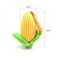 thumbnail image 2 of POINTERTECK Pet Toys Corn Cactus Bite Resistant With BB Sound for Dog Chew, 2 of 4