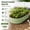 Avocado Green.., variant on Raised Garden Bed Kit 5x2x1 ft Galvanized Metal Planter Box Outdoor with Safety Edging Large Raised Planters for Vegetables Flowers Fruits Gardening