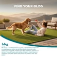 thumbnail image 6 of Bliss Artificial Grass Rug, Indoor/Outdoor Versatile Mat, Easy Clean Drainage - 5' x 8', 6 of 12