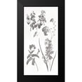 thumbnail image 2 of Grey, Jace 9x14 Black Modern Framed Museum Art Print Titled - Plants, 2 of 5