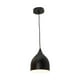 thumbnail image 1 of Lámpara colgante moderna LámparaYa negro mate 1 luz E27 40W, 1 of 5