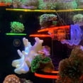 thumbnail image 5 of ZPAQI Coral Holder Acrylic 1/3 Holes Cover Clip Aquarium Fish for Tank Support Holder, 5 of 21