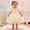 hwj# Beige160, variant on Huowey Toddler Baby Girls Dress Solid Color Boat Neck Bubble Sleeves Solid Color Tiered Layered Ball Gown Sparkly Glitter High Waist Floral Pattern Birthday Wedding Formal Dresses,Beige,18-24 Months