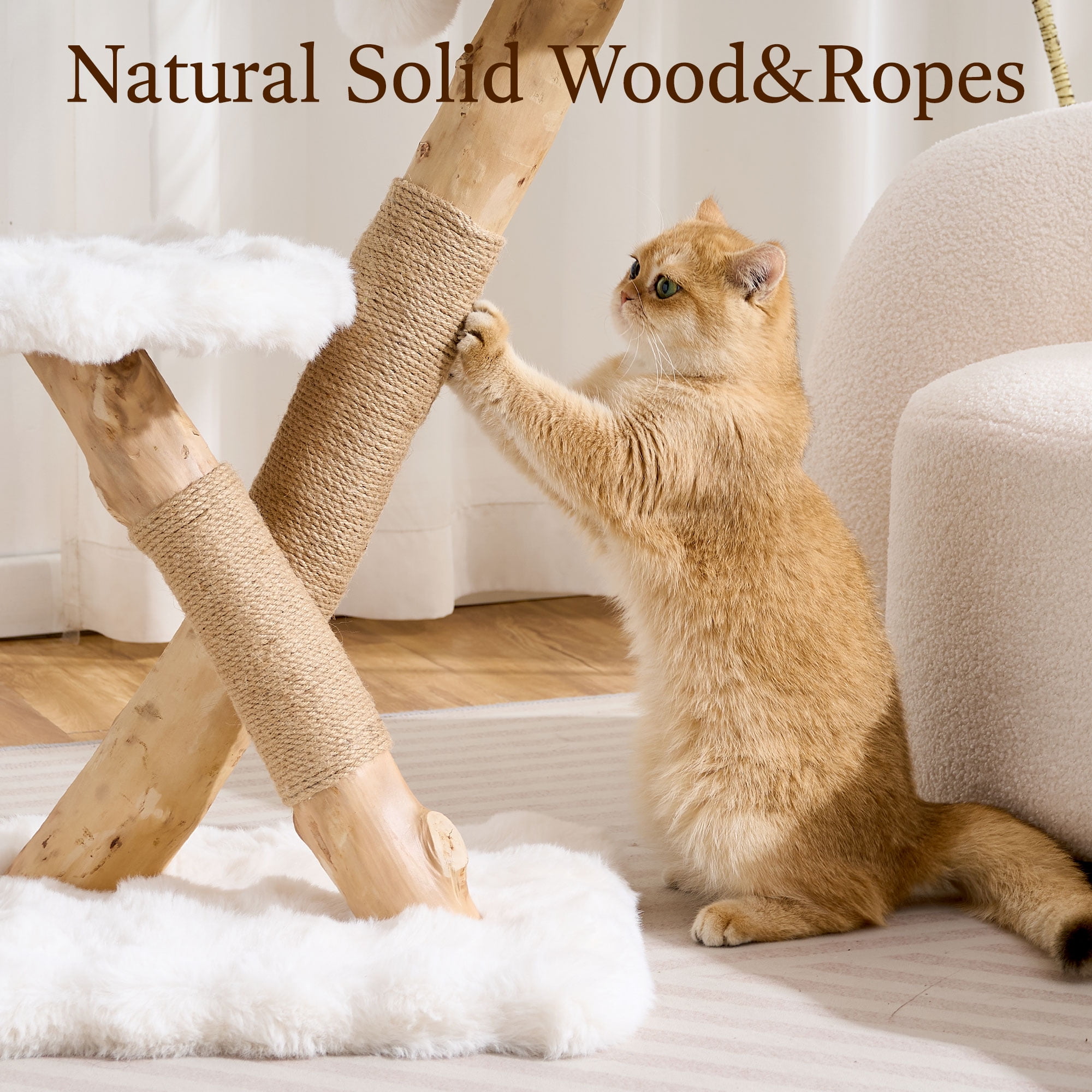 HITTITE Natural Solid Wood Cat Tree Tower with Scratching Post, 32 Inches Tall Modern Cat Tower with Cozy Bed and Platforms, Luxury Real Branch Cat Tree for Indoor Cats Large Adult, White.