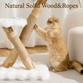 thumbnail image 5 of HITTITE Natural Solid Wood Cat Tree Tower with Scratching Post, 32 Inches Tall Modern Cat Tower with Cozy Bed and Platforms, Luxury Real Branch Cat Tree for Indoor Cats Large Adult, White., 5 of 9