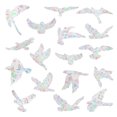thumbnail image 1 of Anti Collision Bird Window Clings, Glass Alert Prism With Static Vinyl Sun Catcher, Reusable Vinyl For Bird Deterrent, Prevent Birds From Hitting Windows, Decorate Your Window With Rainbow Stickers, 1 of 5
