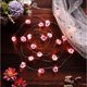 thumbnail image 1 of Fiudx Luces Decorativas de Hadas, Cristal de Fluorita Natural, Cadena Led Roja, Alambre de Cobre Flexible, Decoración para Interiores y Exteriores, San Valentín, Bodas, Cumpleaños, 2,13 M de Largo, F, 1 of 6