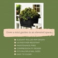 thumbnail image 5 of Bloem 24" Plastic Deck Rail Planter, 9" H x 24" L x 12" W, Fits Rail Sizes between 4.75 to 5.75" Wide, Black, 2-Pack, 5 of 8