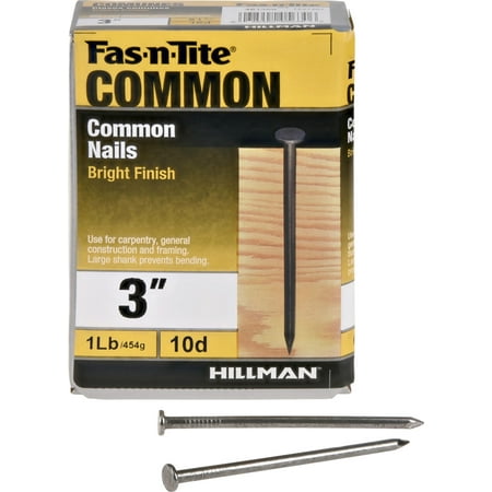 

Fas-N-Tite Steel 10D Bright Common Nails (3 ) - 1 lb