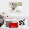 thumbnail image 4 of Nawypu AMERICAN SHORTHAIR KITTEN Animal Poster - Poster Print Art Poster Canvas Prints Wall Art For Home Office Cinema Decorations With Framed, 4 of 4