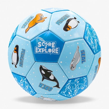 Score N Explore Children s Development Learning Size 3 Soccer Ball - Educational Toy for active learning.Movenet and Crawl Ball | Artic Explorer