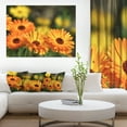 thumbnail image 1 of Fleurs de Souci Orange en Fleurs - Impression sur Toile Florale, 1 of 3