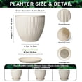 thumbnail image 6 of Wliror 8 Inch Cream White Ceramic Planter with Drainage – Warm Off‑White Flower Pot for Indoor Plants, Fiddle Leaf Figs, Ferns, 6 of 7