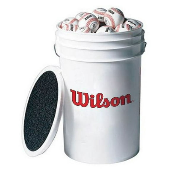 Champion Sports BBWTSET with Performall Lanyard Training Baseballs, 9 Pack