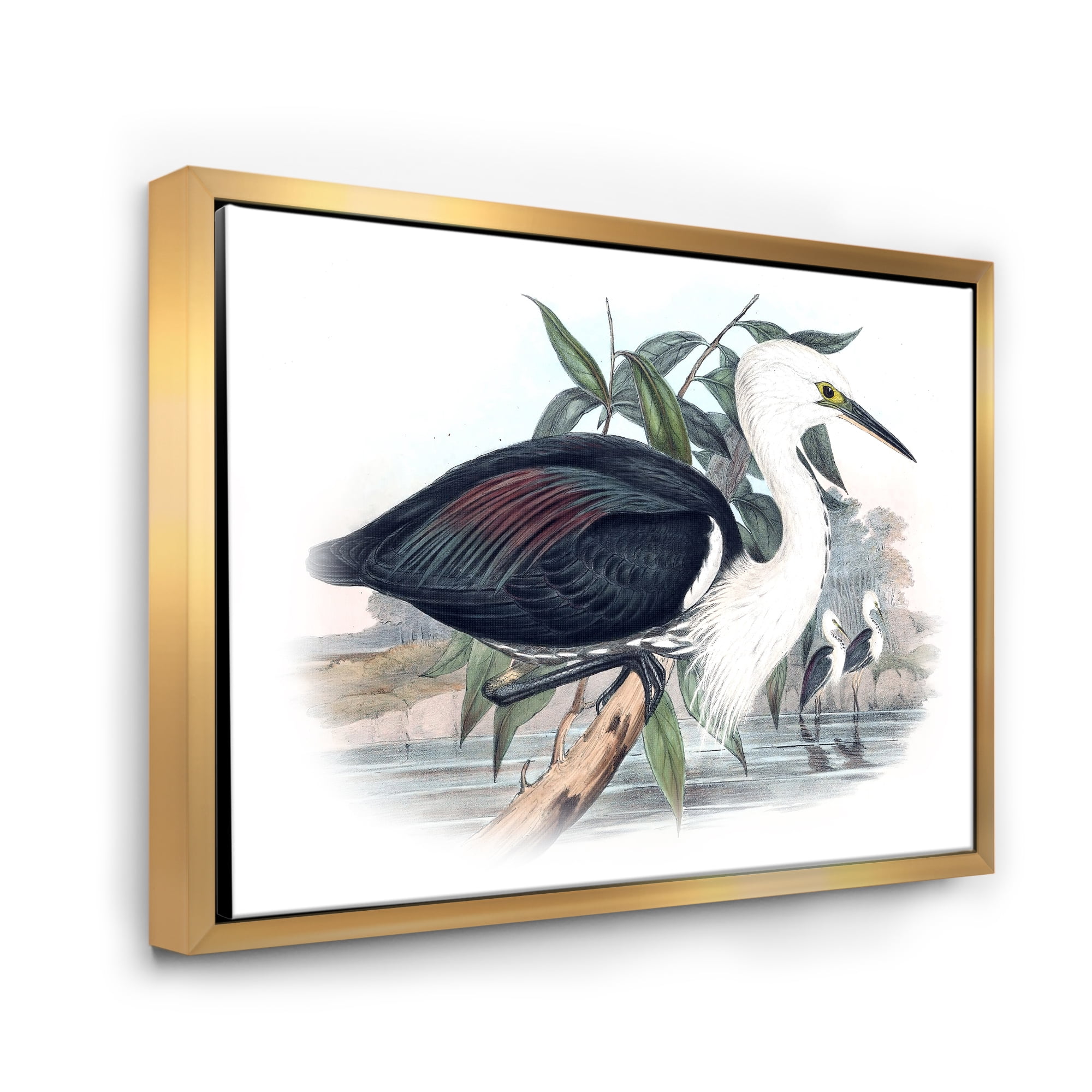 Designart 'Ancient Birds Of Australia' Traditional Framed Canvas Wall Art Print