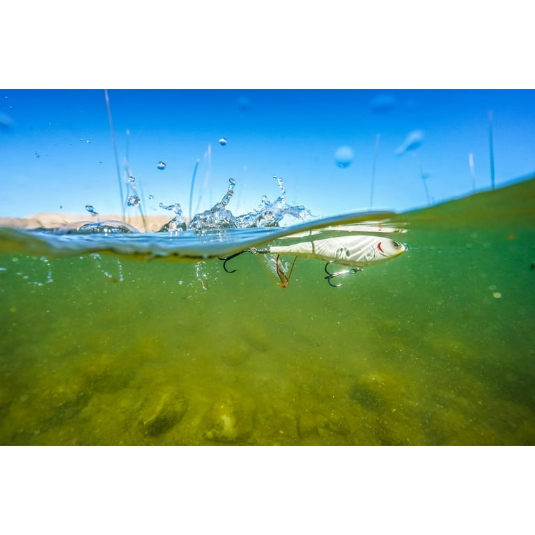 AGX PELAREEF: Carpenter Sea Frog Twin Hook 120